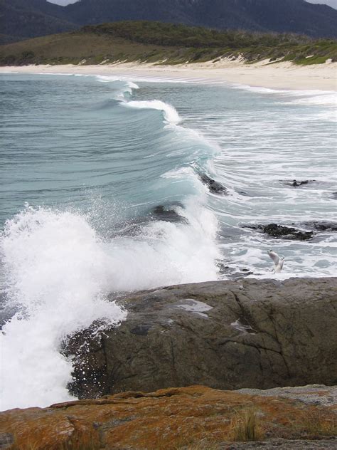 Wineglass Bay And Hazards Beach Circuit Photos