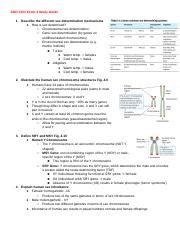 Understanding Human Sex Inheritance And Chromosomes AGR Exam Study Guide Describe