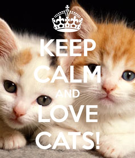 Keep Calm And Love Cats With Images Keep Calm And Love Keep Calm Foster Cat