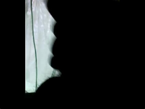 Vergatron Se Despierta De La Siesta XVIDEOS