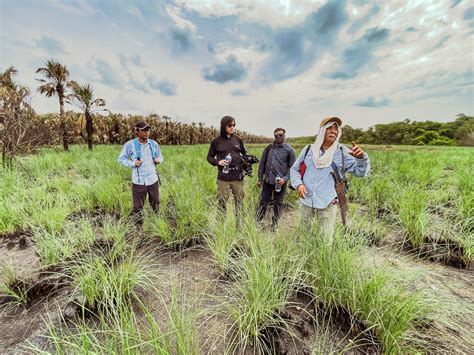 ZERE - Platform for Carbon Credits