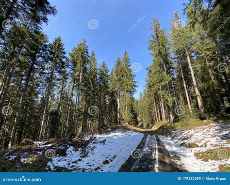Trails for Walking, Hiking, Sports and Recreation in the Alptal Alpine ...