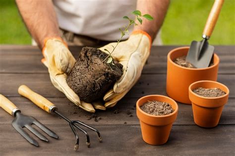 P Gina Im Genes De Guantes Planta Descarga Gratuita En Freepik