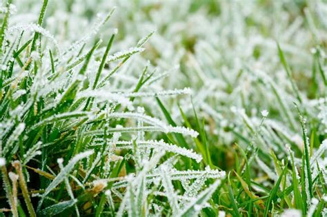 How To Prepare Your Lawn For Winter Colonial Lawn Garden