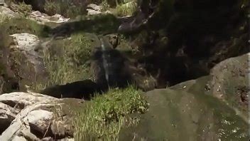 Pleasure Spa Xvideos