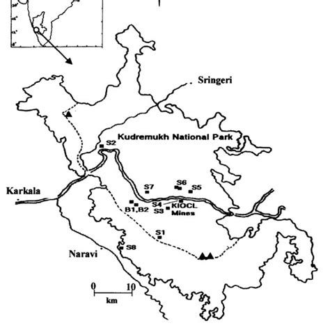 amphibian assemblages  undisturbed  disturbed areas  kudremukh national park