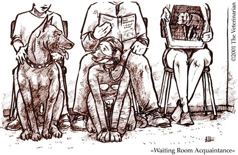 Veterinary Waiting Room Acquaintance By Veterinarian Hentai Foundry