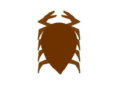 I saw this crab or bug-like weird thing at work. I've been trying to