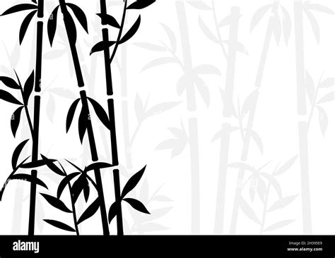 Bamboo Background Japanese Asian Plant Wallpaper Grass Bamboo Tree