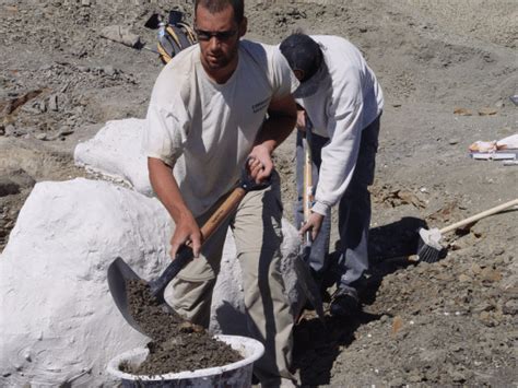 In the Field: Following the Work of a Paleontologist