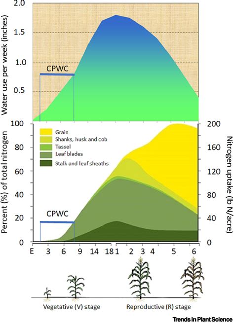 Weed-induced crop yield loss: a new paradigm and new challenges: Trends