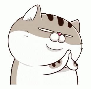 Ami Fat Cat Sticker Ami Fat Cat Bravo Discover Share GIFs