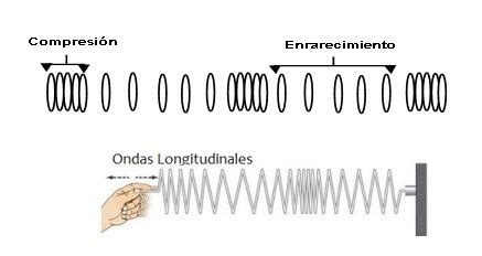 Las Ondas Longitudinales Carecen De Valles Y Crestas Que Estas Las