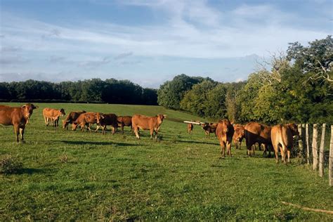 Comice agricole du Vendômois Le Petit Vendomois