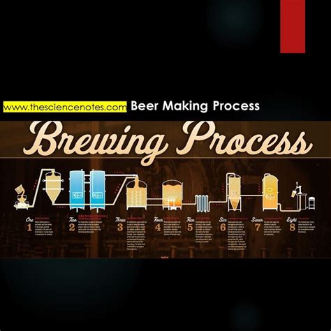 Brewing : Beer making Process - The Science Notes