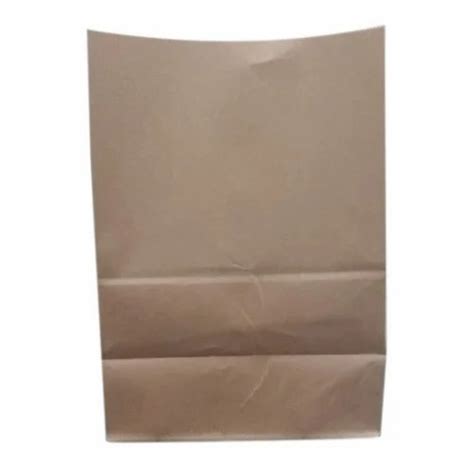 60GSM Brown Paper Bag For Grocery Capacity 2kg At Rs 2 5 Piece In Noida