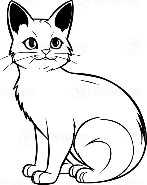 Cat Colouring Book For Kids Png Illustration 24692980 Png