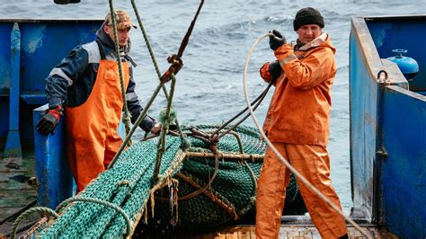 Fishers & Related Fishing Workers at My Next Move