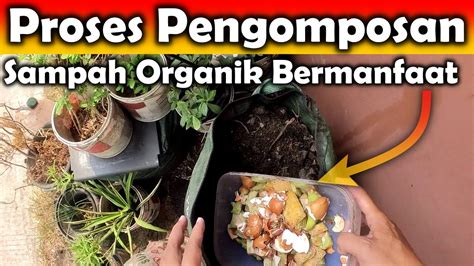 membuat kompos  sampah limbah organik dapur sisa makanan youtube