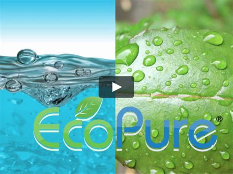 Ecopure Solutions Uma Inovadora Startup Focada Em Soluções Ambientais