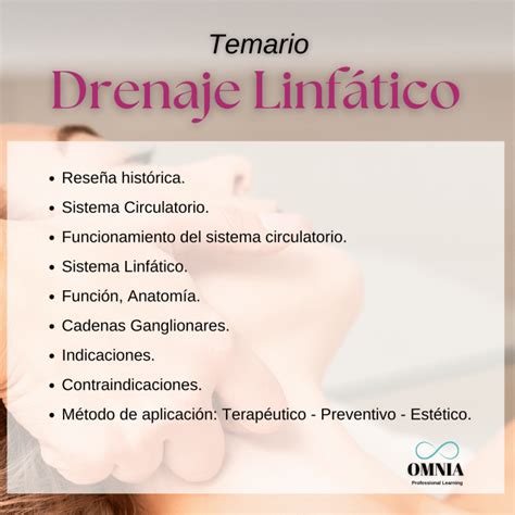 Drenaje Linf Tico Manual Facial Omnia Formaci N