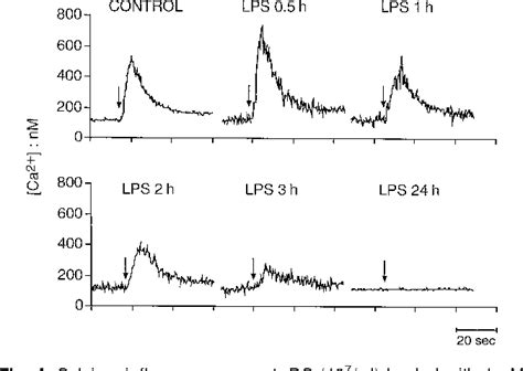 Figure From Upon Dendritic Cell Dc Activation Chemokines And