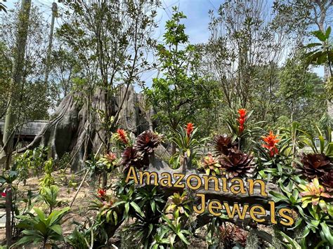 The Politics Of Experience The Bird Of Paradise 2