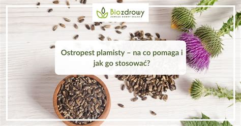 Ostropest Plamisty Na Co Pomaga I Jak Go Stosowa Blog