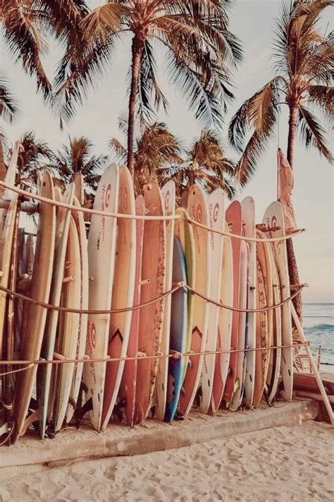 Best Beginner Surfboards The Complete Guide To Surfboards For Beginners