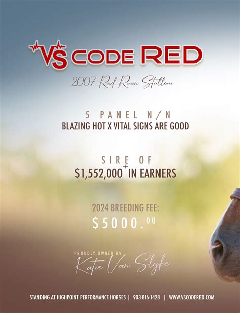 Vs Code Red Sale Price 6