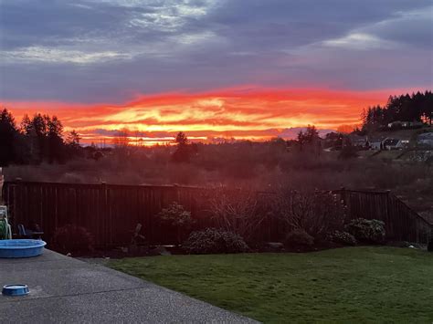 257 best Olympia WA images on Pholder | Olympia, Mycology and Washington