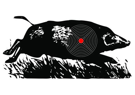 Картинки мишени для стрельбы формата а4