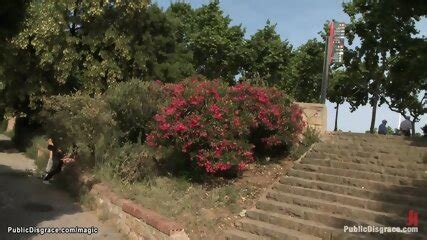 Spanish Slave Bound Naked In Public
