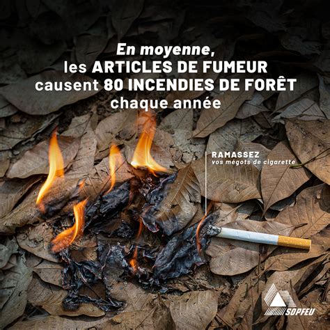 SOPFEU Quest ce que la proximité de la forêt