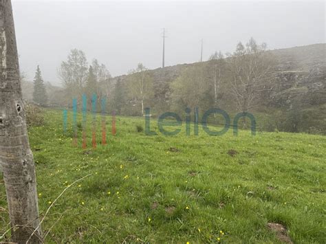 PRÉDIO RÚSTICO COMPOSTO POR TERRENO DE MATO COM EDIFICIO DESTINADO A