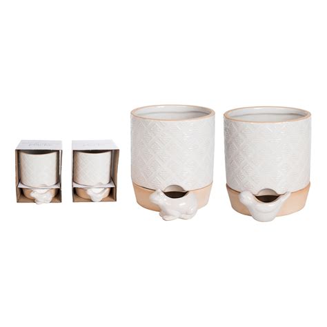 Ebern Designs Terracotta Animal Icon Self Water Planter Set o Home
