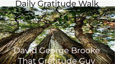 Daily Gratitude Walk 6 15 2020 Youtube
