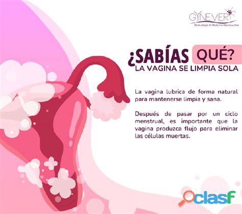La Vagina De Limpia Sola En Amealco De Bonfin Clasf Servicios