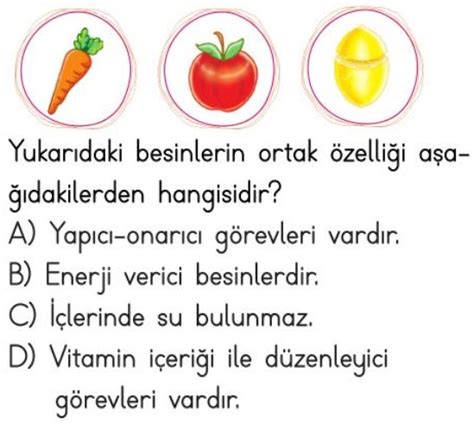 Besinlerimiz Test Çöz 4 Sınıf Fen Bilimleri Testleri