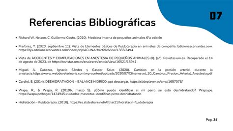 Fluidoterapia En Veterinaria Pdf