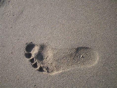 Bruntsfield Chiropody & Podiatry | Edinburgh