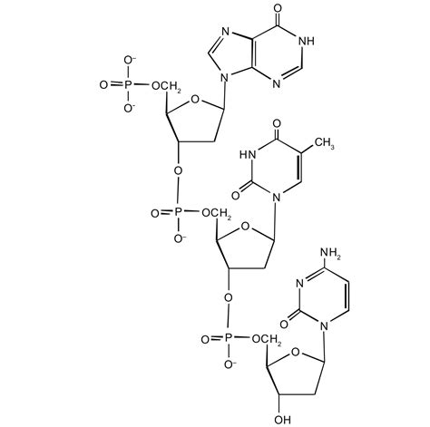 192 Nucleic Acid Structure The Basics Of General Organic And
