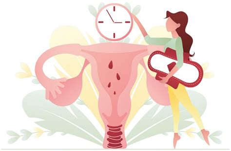 Menopausia Una Transición Natural En La Vida De Las Mujeres