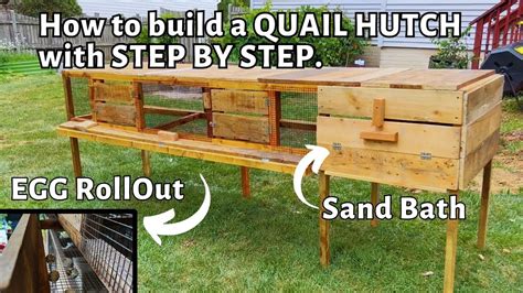 how to build a one tier quail cage hutch coop. Egg roll out tray, sand