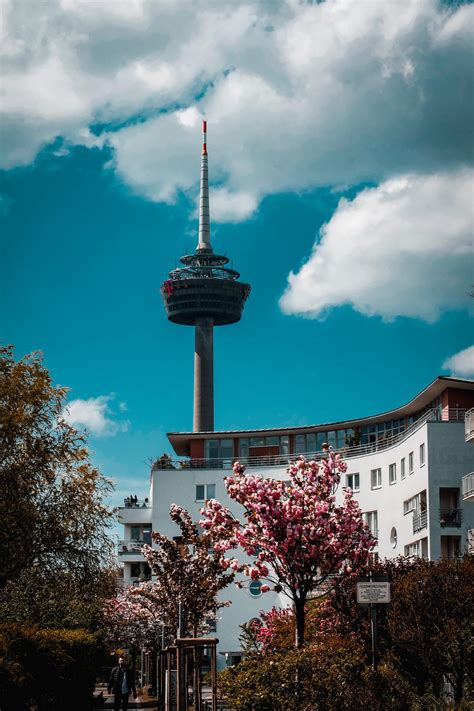time  visit cologne freewalk cologne