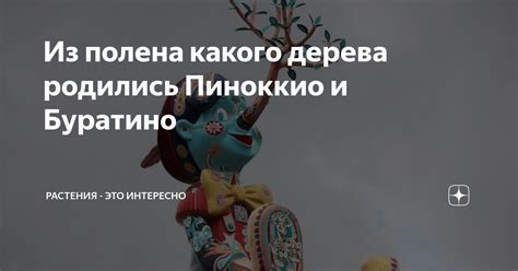 Из полена какого дерева родились Пиноккио и Буратино | Растения - это ...