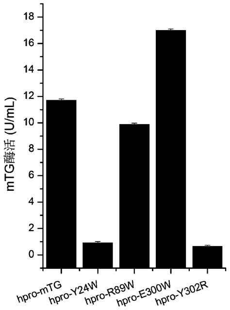 A Mutant Of Transglutaminase Expressed In An Active Form Eureka Patsnap