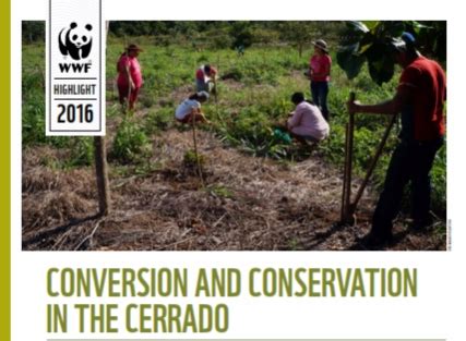 Conversion and conservation in the Cerrado | WWF