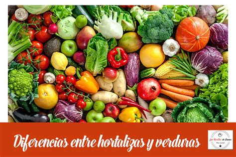 Cuál es la diferencia entre hortalizas y verduras Las recetas de Emma