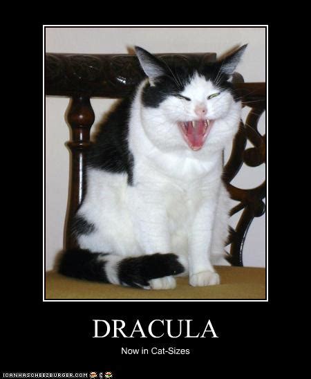 Dracula By Cats Eye 93 On Deviantart